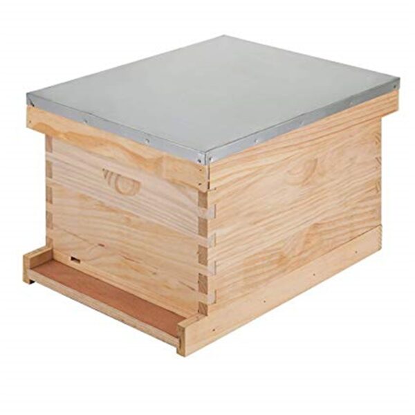 Abejas enjambre con caja - Imagen 2